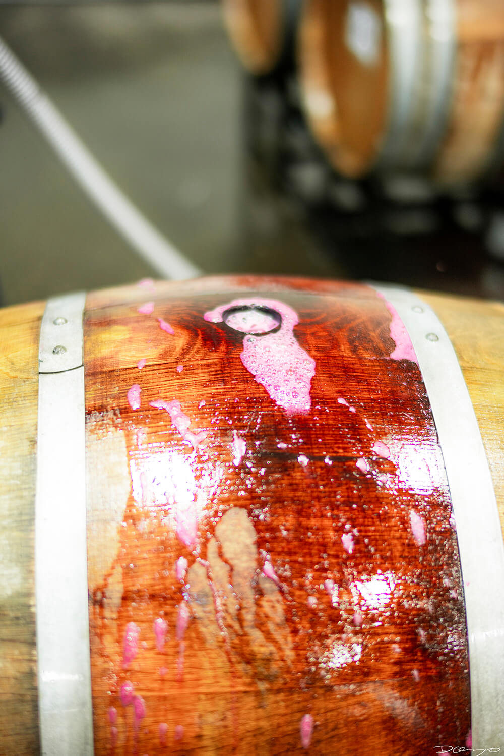 Photos with Communique Wines in McMinville, Oregon, in the Fall of 2020.